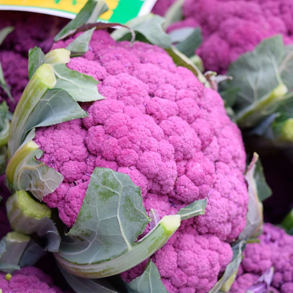 coliflor morada lista para comer
