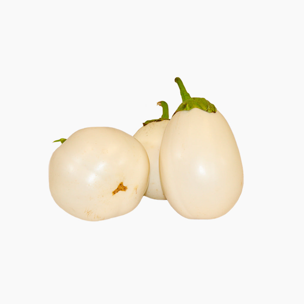Albergínia Rodona Blanca