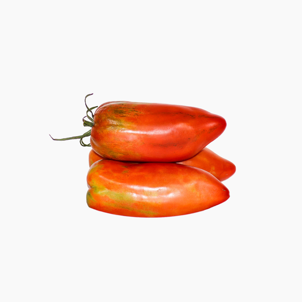 Tomate Bitxo