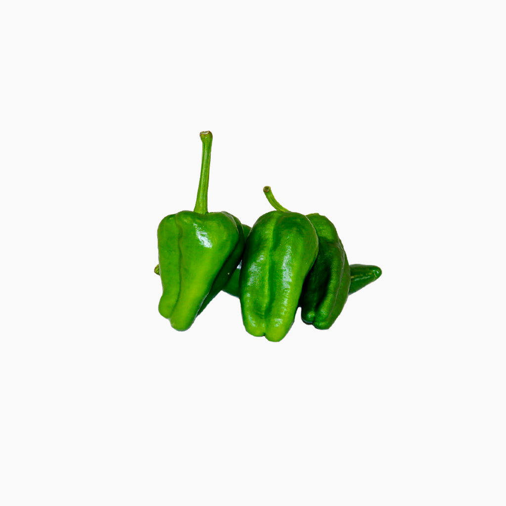 Pimiento del Padrón Picante