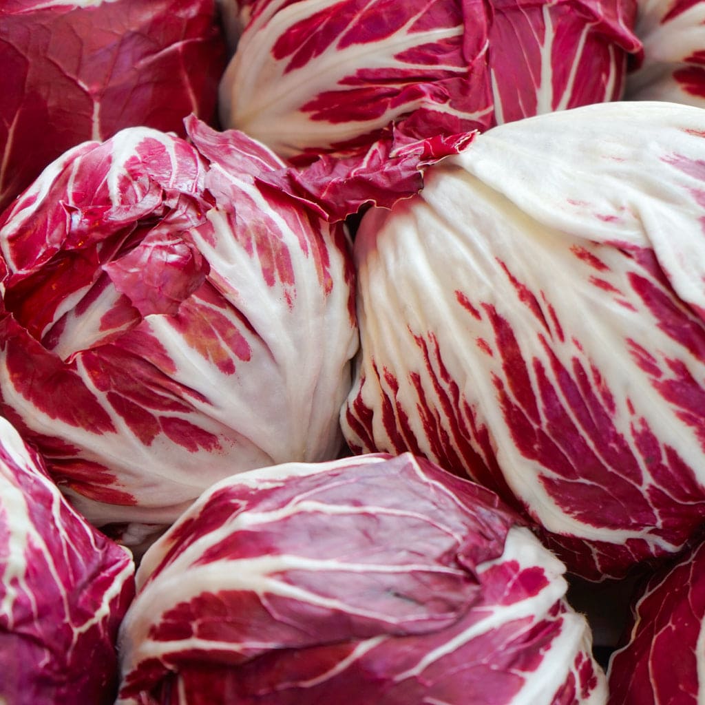 Lechuga Radicchio