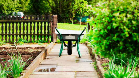 guía paso a paso de como preparar tu huerto desde cero