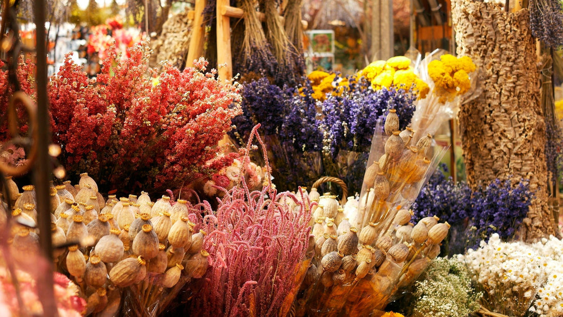 Ramos de Flores Secas