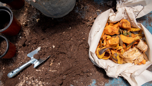 Compost Casero: Guía Paso a Paso para Principiantes