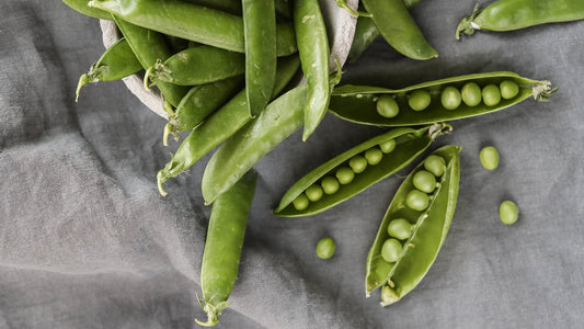 Guía Completa para Cultivar Guisantes